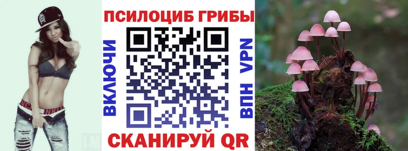 Псилоцибиновые грибы MAGIC MUSHROOMS  купить наркоту  Полярные Зори 